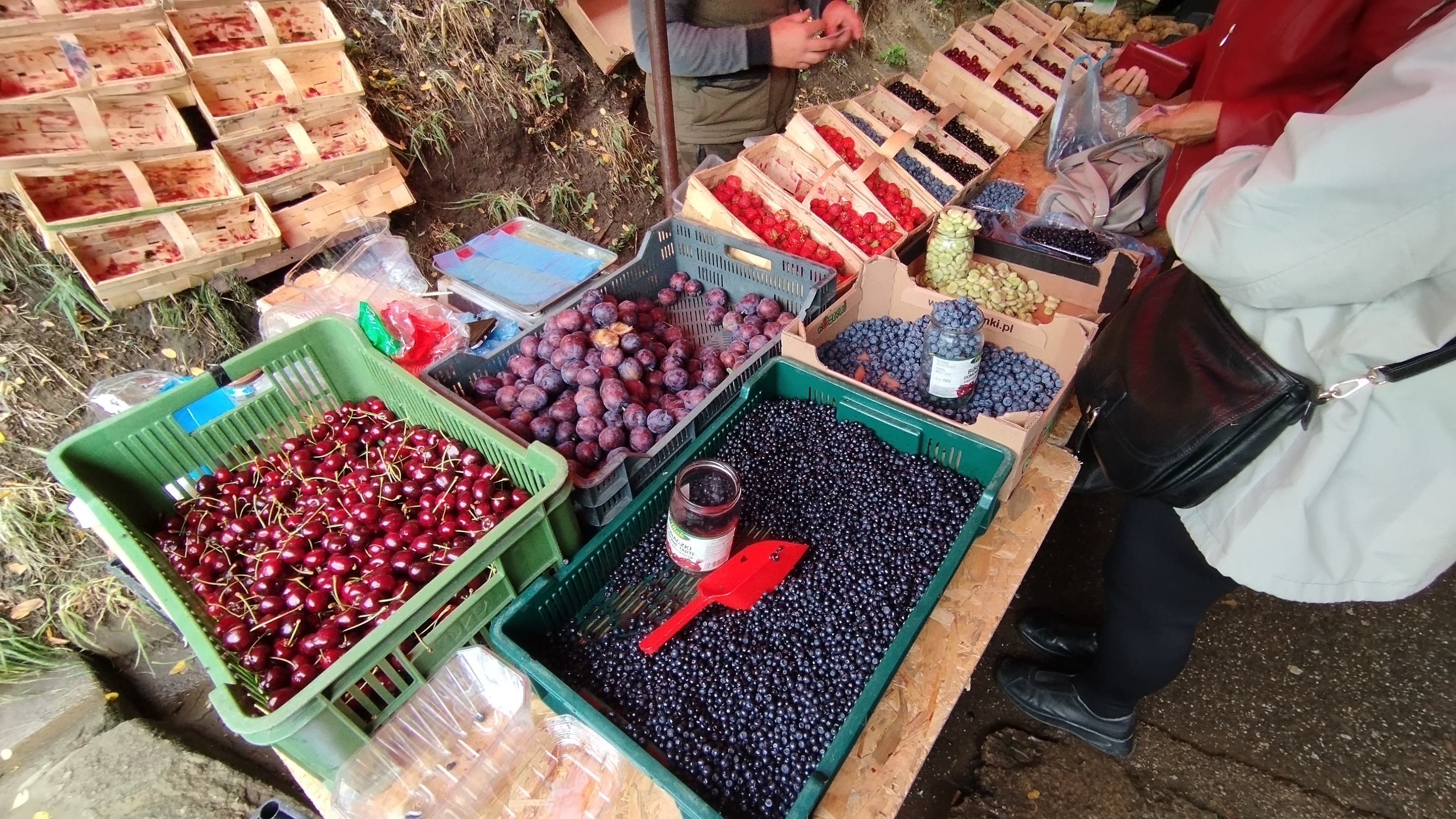 Rolnik na przekór pogodzie. Co teraz trafia na sądeckie stragany?