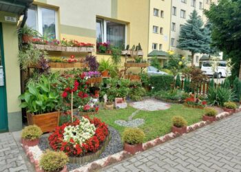 fot. tarnow.pl