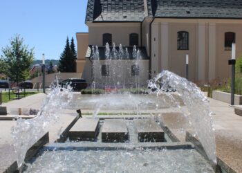 IMG 0655