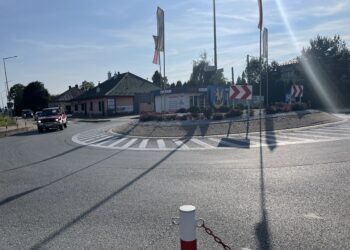 IMG 9688