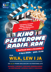 Plakat kinowy Gromnik