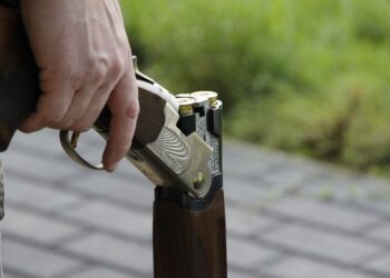 shotgun 1181648 1280