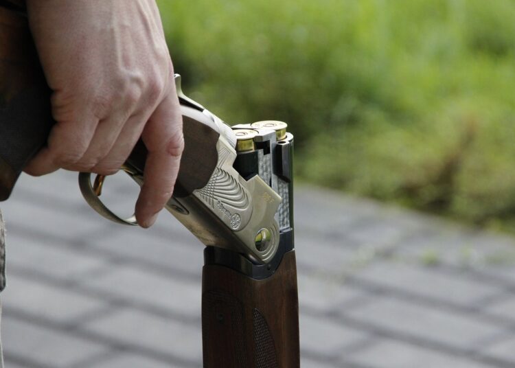 shotgun 1181648 1280