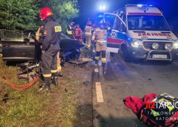 112Tarnow.pl Tarnowski Portal Ratowniczy