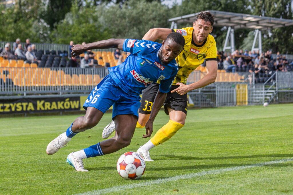 wieczysta sandecja