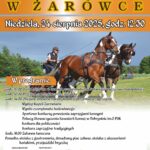 Plakat A3 XVI Parada Konna Zarowka 1