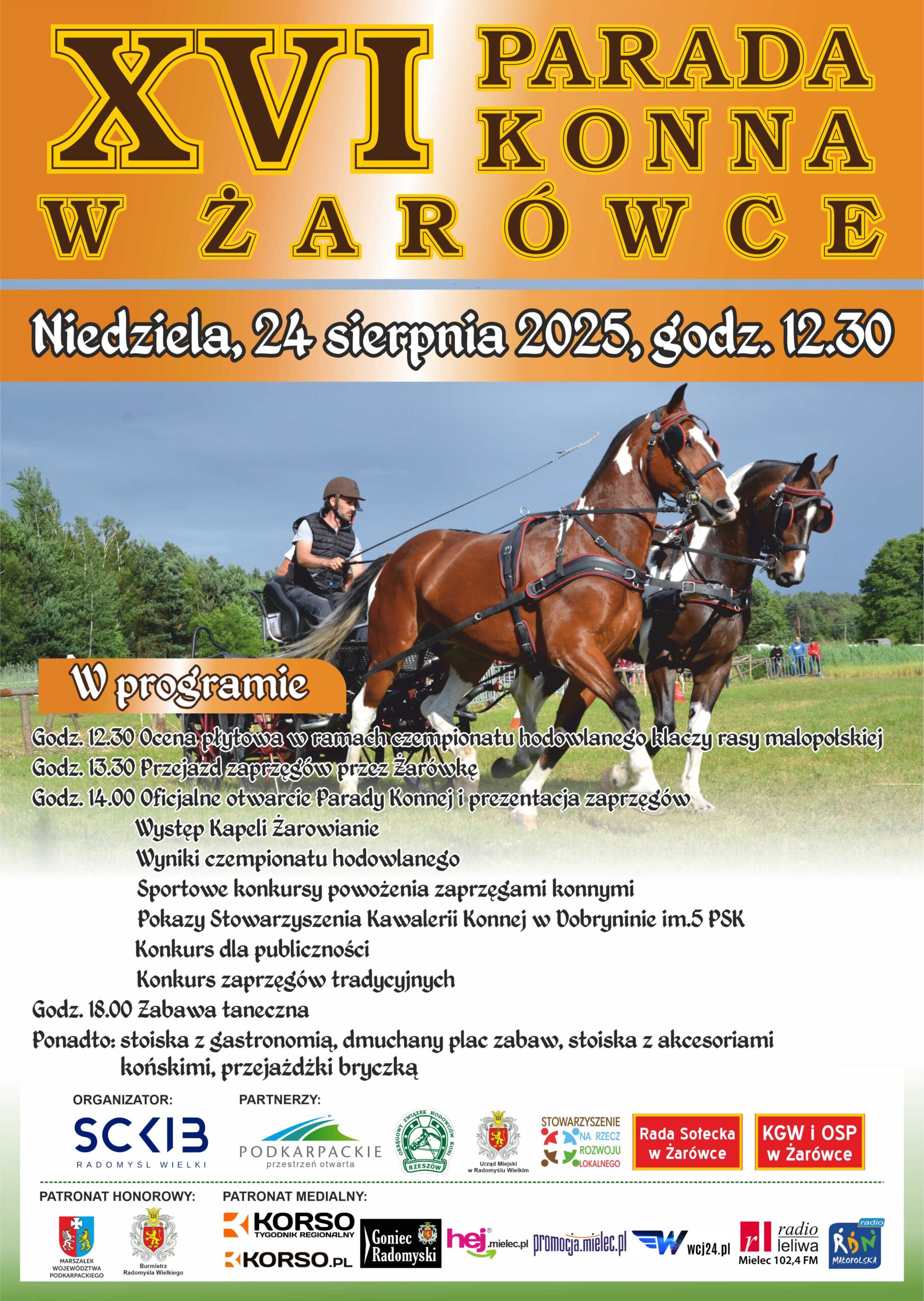 Plakat A3 XVI Parada Konna Zarowka 1 scaled