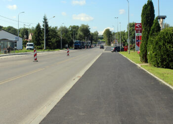 bf IMG 1470