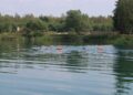 kapielisko