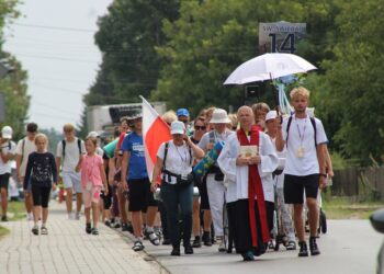 ppt charsznica204