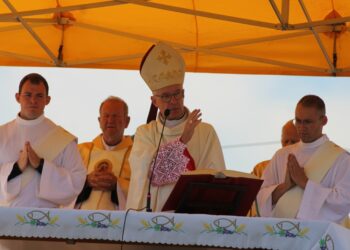 ppt zarnowiec091