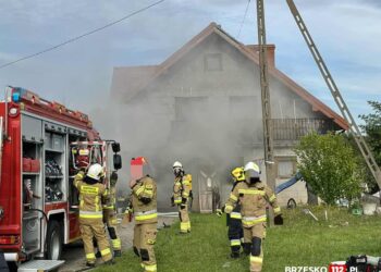 fot. Brzesko112.pl - Brzeski Portal Ratowniczy