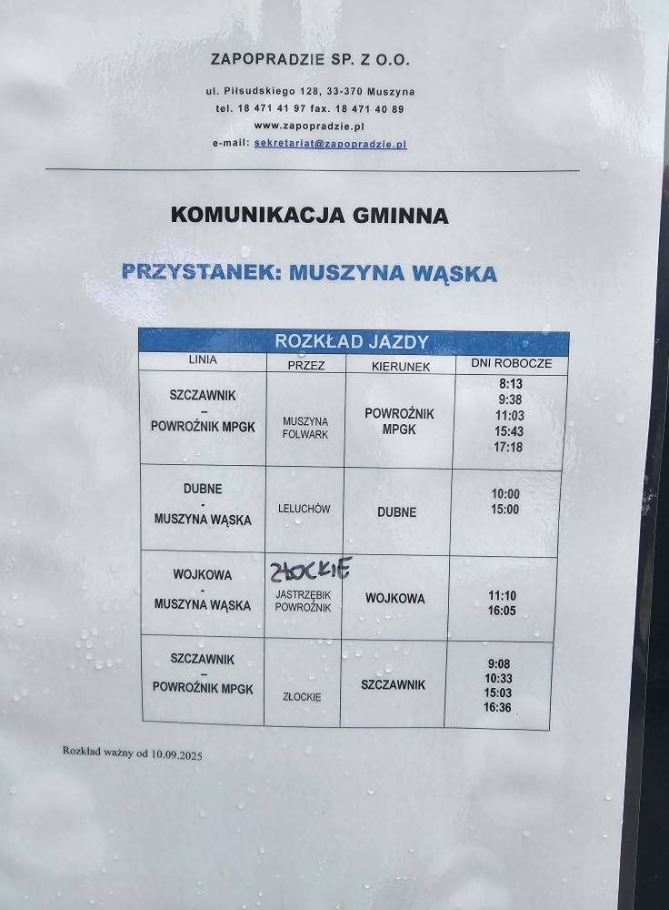 Ruszyła autobusowa komunikacja w gminie Muszyna 2 546931348 24380339191661651 2627258877102321876 n