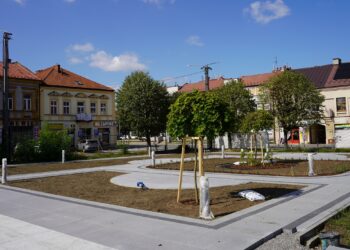 fot. Urząd Miasta Dąbrowa Tarnowska