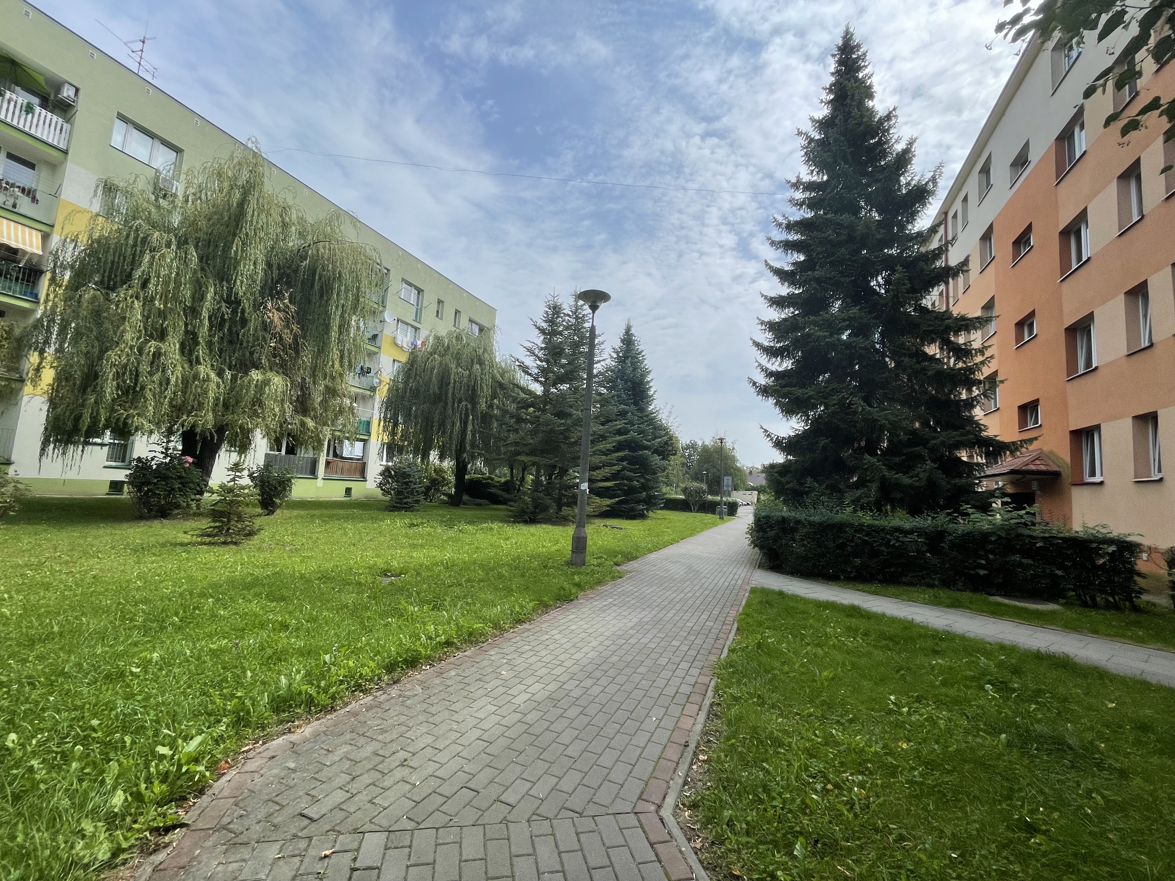 Tarnowianie wybrali swoich radnych osiedlowych. Wiemy kto uzyskał najwięcej głosów w całym mieście