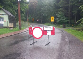 pulaskiego krynica