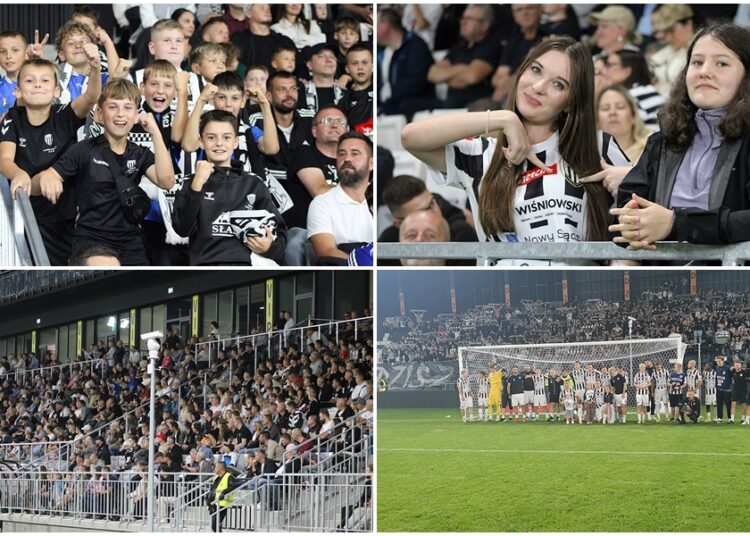 sandecja kibice