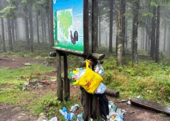 fot. Beata Dobrowolska (Nadleśnictwo Piwniczna)