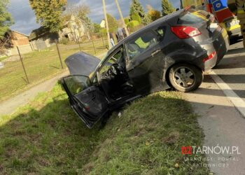 fot. Fb. 112Tarnow.pl - Tarnowski Portal Ratowniczy