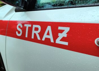 zdjęcie ilustracyjne / RDN