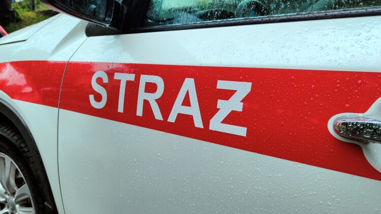 zdjęcie ilustracyjne / RDN