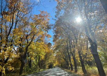 Zaskakujące prognozy pogody na 1 listopada 2 WhatsApp Image 2025 10 31 at 12.51.24