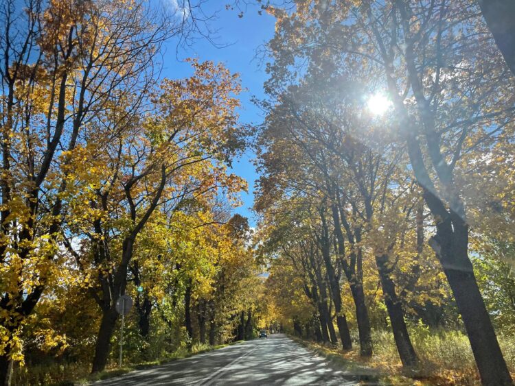 Zaskakujące prognozy pogody na 1 listopada 1 WhatsApp Image 2025 10 31 at 12.51.24