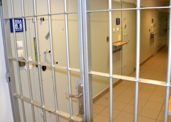 Znęcali się nad rodziną. Trafili do aresztu gdzie czekają na wyrok 2 fot. KMP w NS