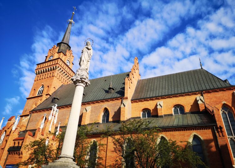 'Tajemnice tarnowskiej Katedry”. Naukowcy zdradzą efekty swoich prac 1 katedra 6