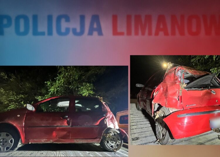 fot. Policja w Limanowej