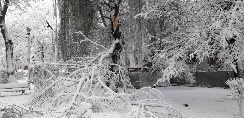 Zima w natarciu! Tysiące domów bez prądu. Jest apel służb 1 1 1