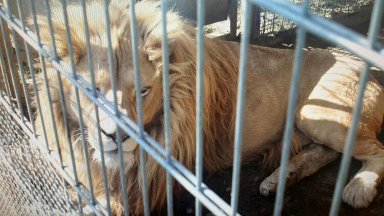 fot. Małopolska Policja