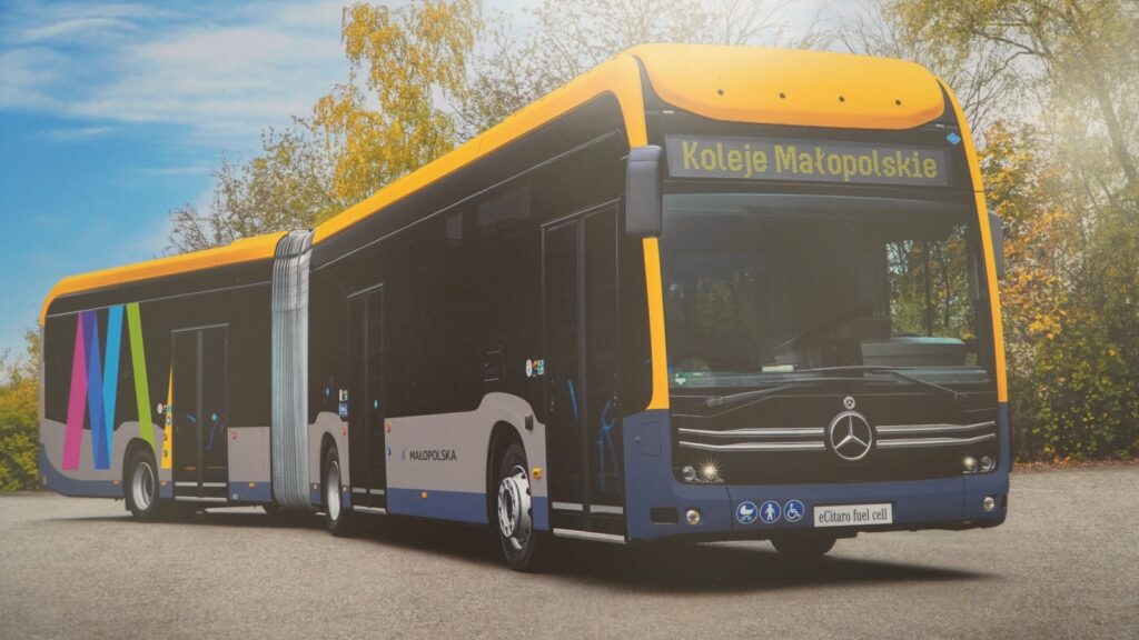 584410028 1425232426273318 5359605629603793898 n