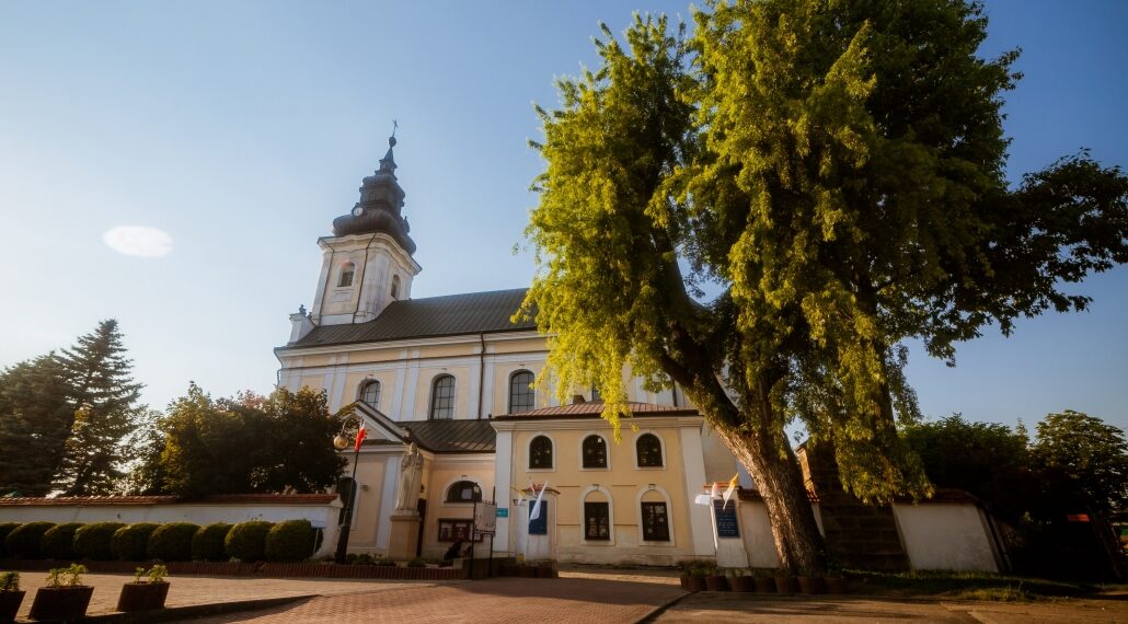 IMG 0608 1 1030x687 1