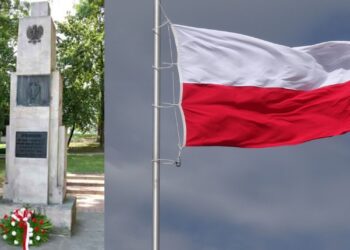 xr:d:DAFhwY1-niw:2,j:3818152545,t:23050209