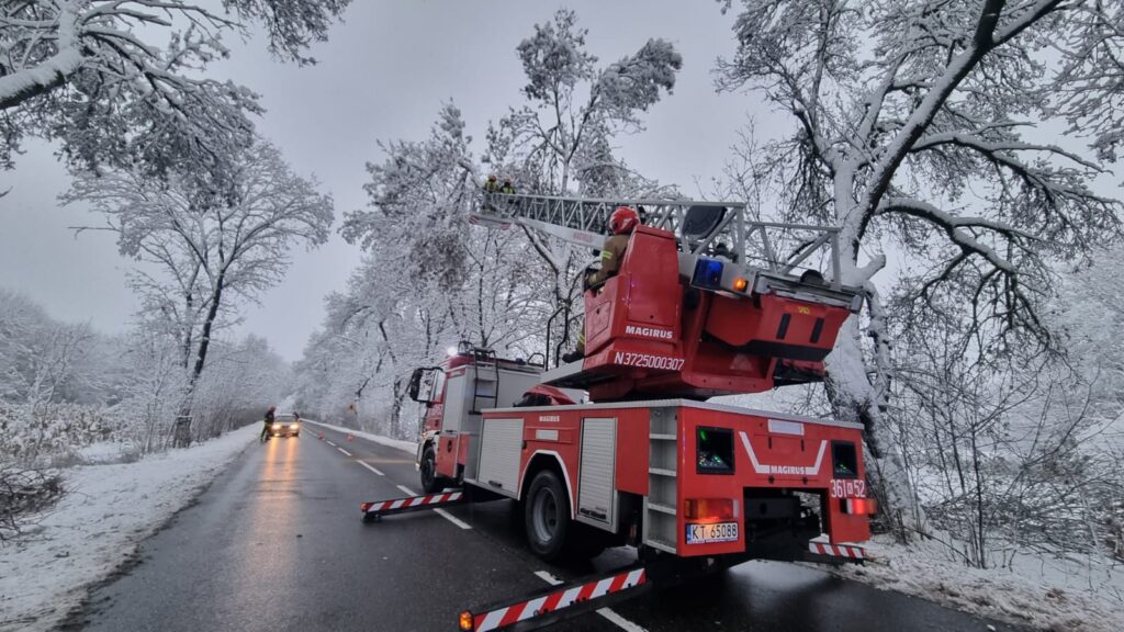 WhatsApp Image 2025 11 23 at 16.36.34