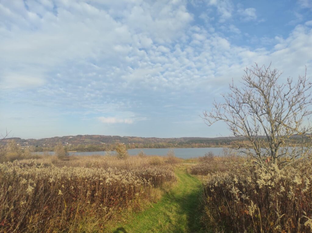 att.PLUB3ihmAL2De42LkEwTFMiMkuPNoYe01zhovk3Pnbk