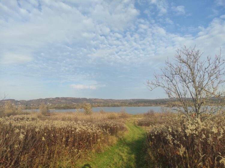 'Tu na razie jest ściernisko...'. Powstanie nowe miejsce rekreacyjne w regionie 1 W tym miejscu powstanie kompleks turystyczno-rekreacyjny w Strzegocicach