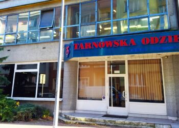 bp WhatsApp Image 2025 11 20 at 11.24.30 1