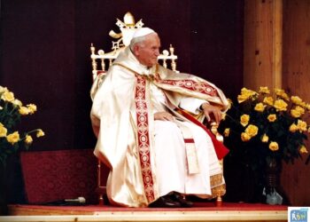 phoca thumb l pap78c