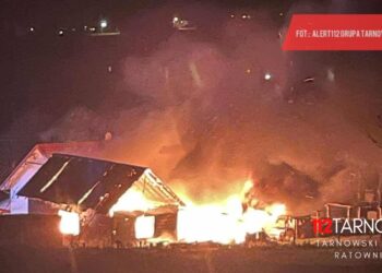 fot. 112Tarnow.pl Tarnowski Portal Ratowniczy