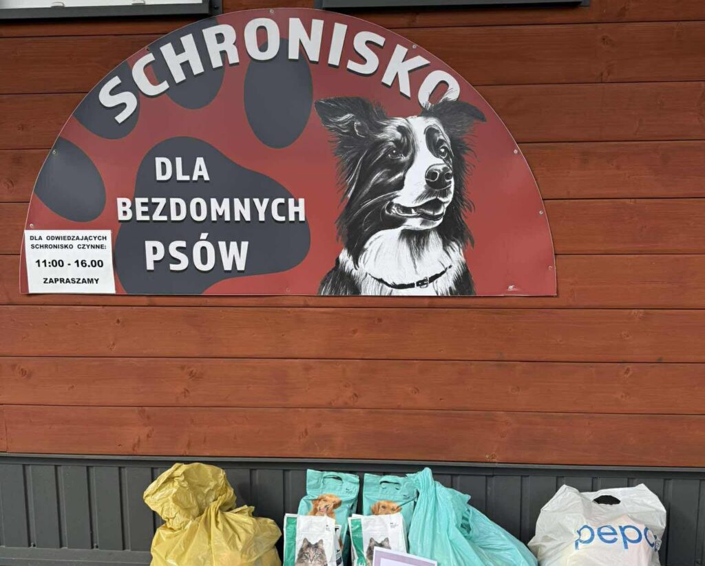 Schronisko dla zwierząt w Nowym Sączu potrzebuje pomocy 1 schronisko zwierzat