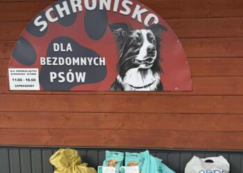 Schronisko dla zwierząt w Nowym Sączu potrzebuje pomocy 2 fot. Schronisko dla Zwierząt w Nowym Sączu