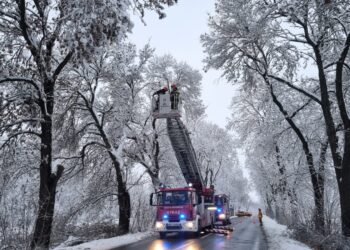Połamane konary drzew i ewakuacja DPS-u - śnieg nie odpuszcza, lawina zgłoszeń 2 Komenda Miejska Państwowej Straży Pożarnej w Tarnowie
