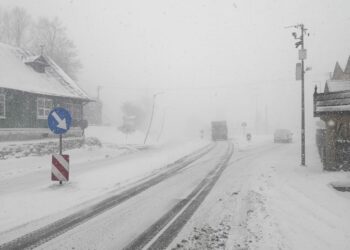 fot. archiwum nowosądeckiej policji