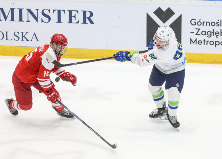 fot. Polski Związek Hokeja na Lodzie
