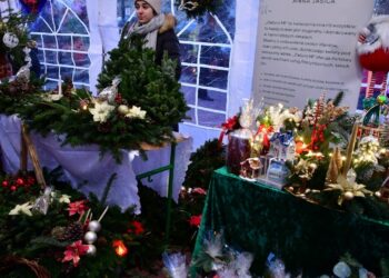 fot. ryglice.pl / Janusz Siemek