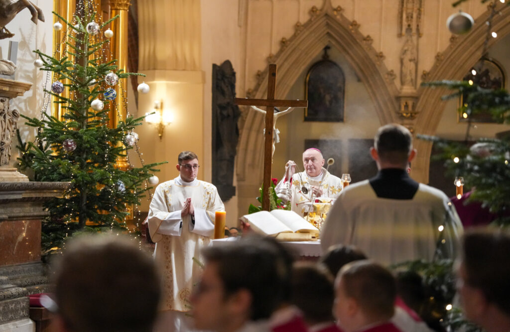 55010485598 9e36c614ce k