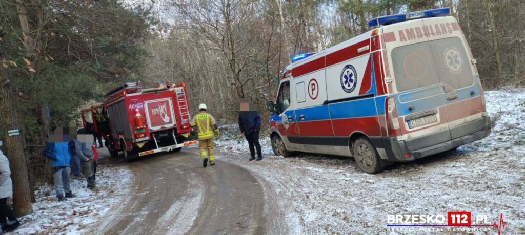 603823192 1393408048817636 1955251625558264113 n