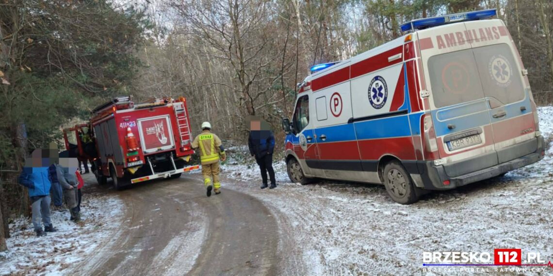 603823192 1393408048817636 1955251625558264113 n